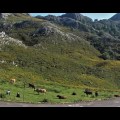 20160909_175008